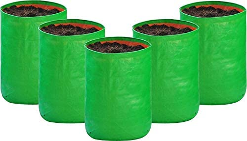 dharneesh Terrace Gardening Leafy Vegetable Green Grow Bag - Spinach (12 x 6) Pack of 5 (B09MWGWKM5) Amazon Price History, Amazon Price Tracker