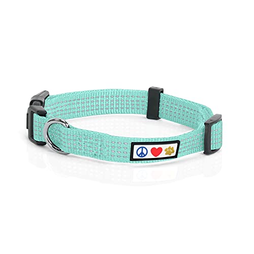 The 10 Best Collars For Bulldogs Dog Fluffy