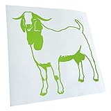 ✔️ Qualité : autocollant de la marque KIWISTAR. Ces beaux decals sont très polyvalents à l'intérieur et à l'extérieur. Choisissez un design des autocollants pour pare-brise arrière dans notre sélection dans nos nombreuses couleurs colorées. Nos nouvelles couleurs fluo sont également faciles à monter.