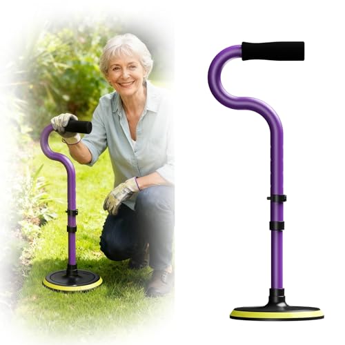 Standing Assist Devices Mobility Aids to Help Get up from