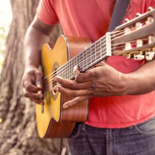 Chansons du monde et de la classe d'Yvan