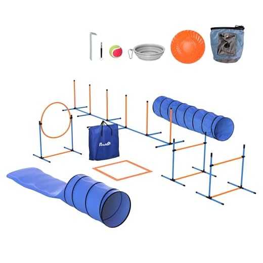 PawHut Agility Set Hunde 11-teiliges Set Agility-Ausrüstung für Hunde mit 2 Tunnel Höhenverstellbar Sprungring & Hürden Slalomstangen Pause-Box Tragetasche Ball Steckhürdenset für Hundetraining