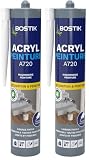 Mastic Acrylique Acryl Peinture - Cartouche de 310 Ml (Lot de 2)...