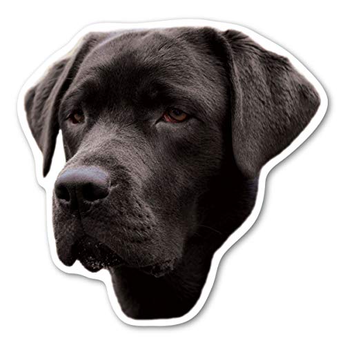 Imán decorativo Labrador Retriever Magnet America negro miniatura 1