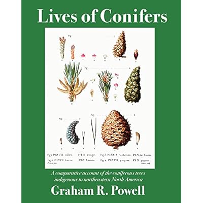 Lives of Conifers