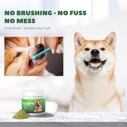 Image of Dog Dental Care Powder - Plaque & Tartar Control with Natural Enzymes, Teeth Cleaning Powder for Dogs with Probiotic, Bad Breath Treatment for Small Medium Large Dogs