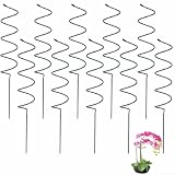 Pali di supporto per piante a spirale resistenti, 40 cm, in metallo, per allenamento indoor della vite, pomodori e rose, giardino verde per paletti rampicanti, confezione da 10 (B)