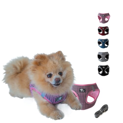NEEZ Premium Geschirr für Katzen und kleine Hunde mit Leine | Super Bequeme Katzenweste | Ausbruchsicher und atmungsaktiv | Farbe: Pink/Grau Größe: L