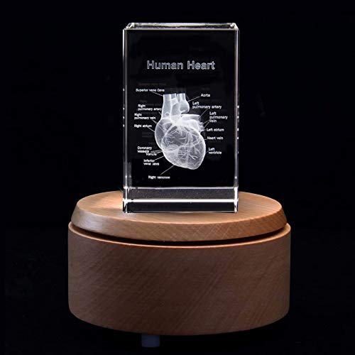 3D Human Heart With Labels Anatomical Model Paperweight(Laser Etched) In Crystal Glass Cube Science Gift (Included Led Base) #TOP14