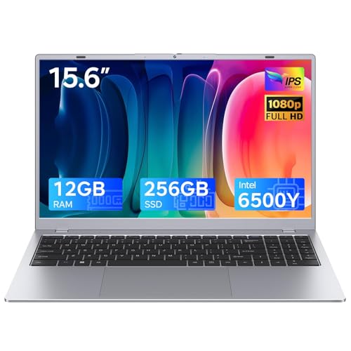 RNRUO 2026 �V���o�[�m�[�g�p�\�R�� Pentium Gold 6500Y �v���Z�b�T�[ (�ő�3.4GHz)�A12GB RAM 256GB SSD 15.6�C���` FHD IPS�f�B�X�v���C 5000mAh �o�b�e���[ Type-C�A�|�[�^�u���m