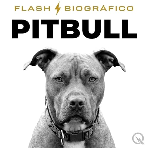 Pitbull - Flash Biogr&aacute;fico cover art