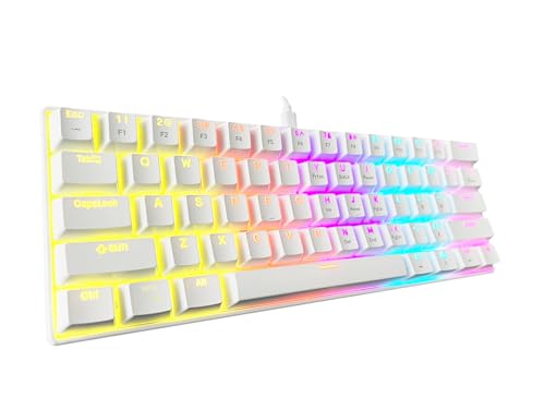 Bangsanth Mechanical Keyboard, 60% Mechanical Gaming Keyboard with Blue Switches and Dynamic 12-Mode Backlight - Plug and Play, 61-Key, Anti-Ghosting, for PC, Windows, Mac, Gamer, Office, Typists