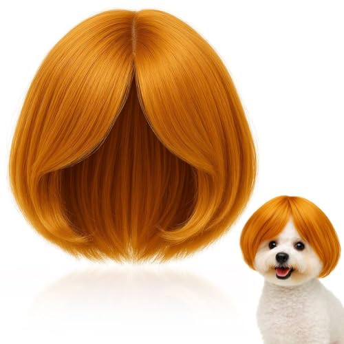 1PC Funny Dog Cat Cosplay Wig for Halloween Christmas Parties Festivals Pet Wig-Adjustable Costume Amusing Hair Dress Up Decorations (Golden)