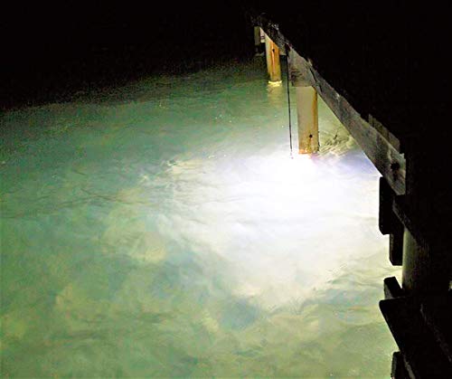 Green Blob Outdoors (White Color) Jumbo 30000 Lumens 600 Led Underwater Fishing Light 110 Volt Ac 3 Prong Plug Includes Timer W Photocel 30Ft Power Cord (White) #TOP1