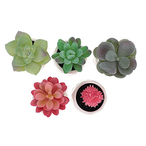 Partykindom 5Pcs Simulation Succulent Plants Fake Green Plants Potted Small Bonsai Ornaments For Home/Wall/Room Decor #TOP3