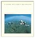 A Journey into Gravity and Spacetime (Scientific American Library)