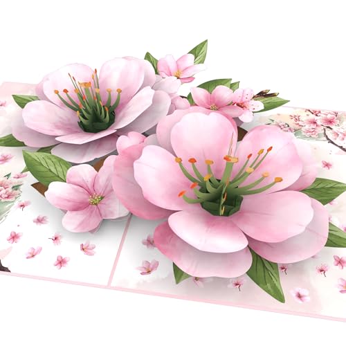 MOKIO® Pop-Up Blumenkarte – Japanische Kirschblüten – 3D Geschenkkarte zum Geburtstag, als Gutschein oder zur Genesung, Sakura Baum Blumen Karte