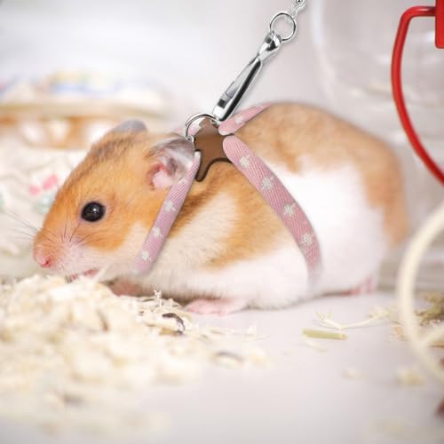 image for Hypeety Hamster Training Lead Leash Nylon for Hamster Rat Squirrel Ger