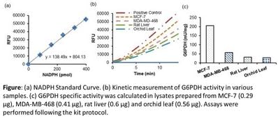 PicoProbe Glucose-6-Phosphate Dehydrogenase Activity Assay Kit (Fluorometric), K751-100