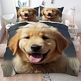 ZZXHG Funda Nordica Cama 105-200x200 cm Perro Golden Retriever Amarillo, Juego de Ropa de Cama de Matrimonio Microfibra para Niños Adultos - 1 Funda de Edredón + 2 Funda de Almohada 50x75 cm