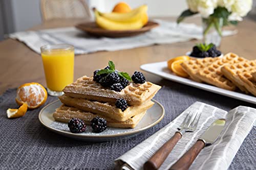 Trueats Pancake & Waffle Mix: Diabetic Friendly, Protein & Fiber Rich, Low Glycemic & Gluten Free, No Sugar Added, Vegan, Dairy Free, Plant Based, Sweetened With Monk Fruit Sweetener #TOP6