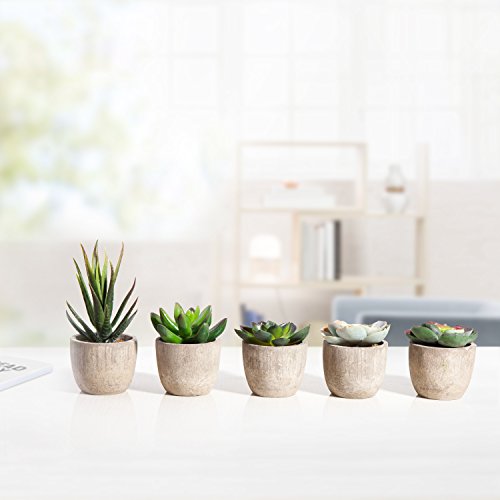 Jelofly Fake Plants Artificial Succulent Plants Assorted Decorative Faux Succulent Potted Fake Cactus Cacti Plants Gray Pots, Set Of 5 #TOP4
