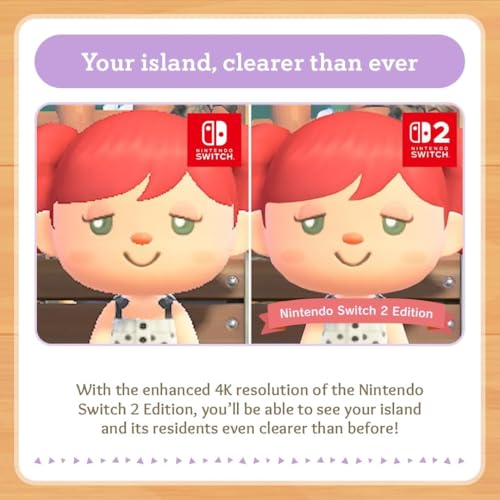 Animal Crossing: New Horizons /Switch 2
