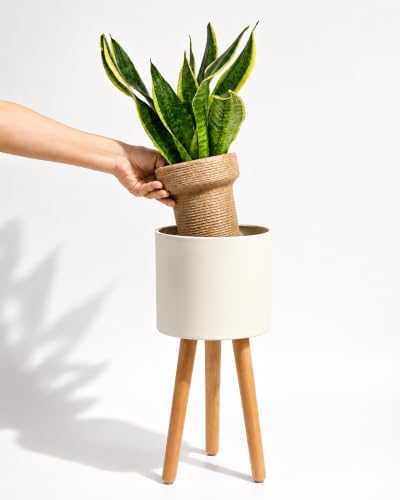 Bamworld Single Plant Holder for Indoor Plants Metal Planter Stand Wooden Leg White Plant Stand Indoor Flower Pot Stand 7in Plant Pot with Stand for Living Room Office Bedroom Decor Modern Home Decor Small