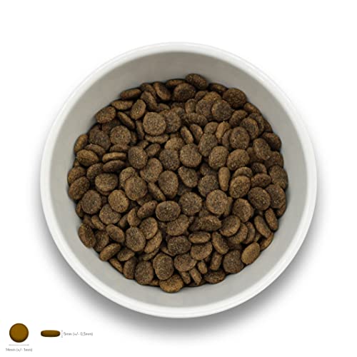 Sollis Hundefutter trocken | Getreidefrei | Zuckerfrei | Angus-Rind | Trockenfutter für ausgewachsene Hunde | 2kg