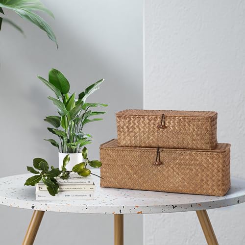 Moosky Wicker Shelf Baskets with Lid, Seagrass Storage Basket with Dividers Rectangular Woven Back of Toilet Baskets Boxes Home Decor Organizer (Coffee Large) by Moosky - Used condition - Image 7