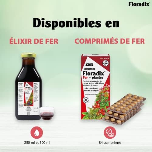 Floradix Liquid Iron Formula, 500 Milliliters : Amazon.sg: Health,  Household & Personal Care