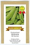 exotic-samen