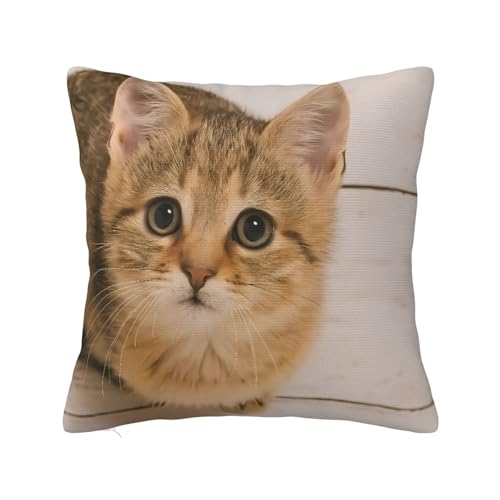 �L ���� ���J�o�[ ���� ���������� �y�ʐ􂦂� 16"X16"