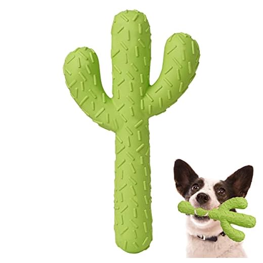 MewaJump Dog Chew Toys, Durable Rubber Dog Toys for Aggressive Chewers, Cactus Tough Toys for Training and Cleaning Teeth, Interactive Dog Toys for Small/Medium Dog