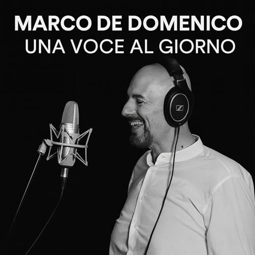 『A Voice A Day』のカバーアート