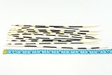 African Porcupine Quills 9-11