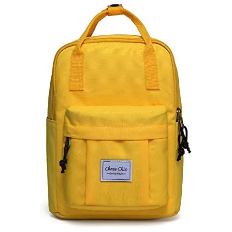 Chase Chic Mochila Pequeña Antirrobo e Impermeable Cover