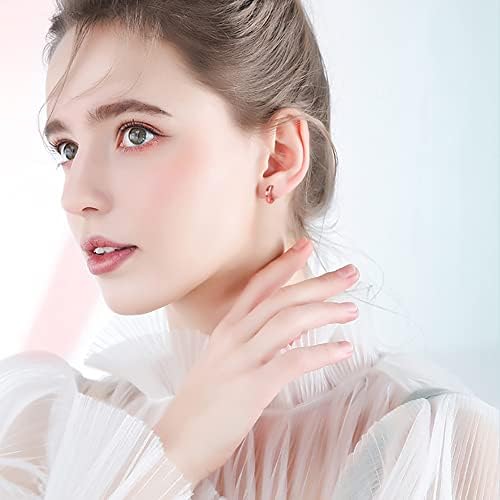 PHNIBIRD Silver Hoops Earrings for Women, 925 Sterling Silver Shell Rose Gold Hoop Earrings for Women Girls Diameter -13MM