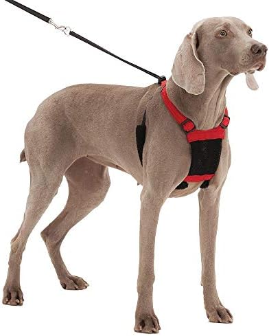 Sporn Mesh Non Pull Dog Harness Large/X-Large Red