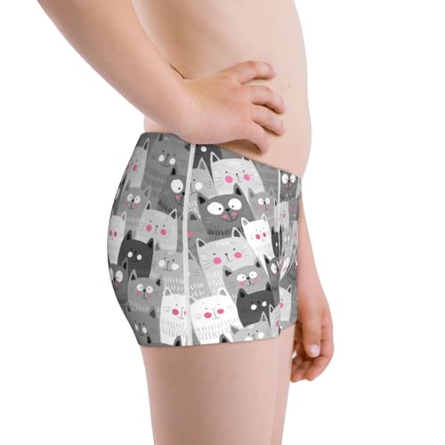 Boys' Cotton Boxer Brief Soft Underwear-Cats Group2
