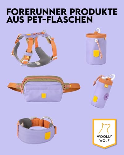 Woolly Wolf Nightless Night Halsband für kleine Hunde Gr. S - Verstellbares Hundehalsband mit maximaler Passform aus recyceltem Polyester, Bequemer Sitz
