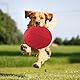 EEPLUYTY Frisbee Hund, 2er-Pack 18cm Hundefrisbee, Weiche Gummi-Frisbee, Geeignet Für Das Training Von Haustieren (Rot + Grün)