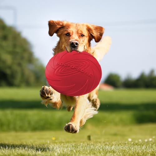 EEPLUYTY Frisbee Hund, 2er-Pack 18cm Hundefrisbee, Weiche Gummi-Frisbee, Geeignet Für Das Training Von Haustieren (Rot + Grün)