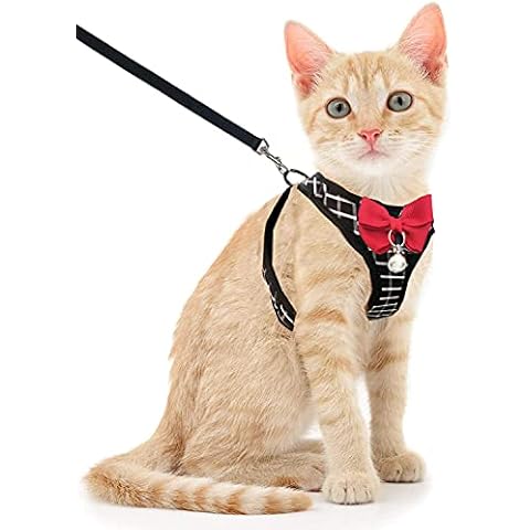 BLUWTE Cat Harness,Cat Harness and Leash, Breathable Dog Harness,Pet Harness,Adjustable Mesh Vest Harness for Puppy Cat Rabbit (Black, S) Cover