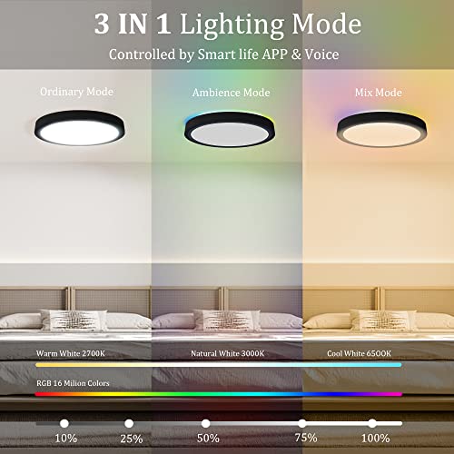 Novelux 12 Inch 25 Watt Wifi Smart Ceiling Light, Led Ceiling Lights Dimmable(0%-100%) 2700-6500K & Rbg Million Colors, Ceiling Light Fixtures Flush Mount For Porch-1 Pack #TOP2