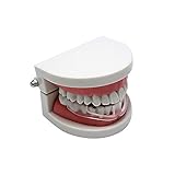 Características: estas bandejas nocturnas te ofrecerán una gran comodidad a la hora de usarlas. Este confortable protector relaja los músculos de la mandíbula, previene el rechinamiento de los dientes, aprieta y alivia los problemas que pueden causar lesiones dentales, por lo tanto, previene el bruxismo, la ATM y los síntomas relacionados como el dolor muscular facial, los espasmos, el dolor de cuello y articulaciones, el insomnio, el dolor de hombros y los dolores de cabeza.