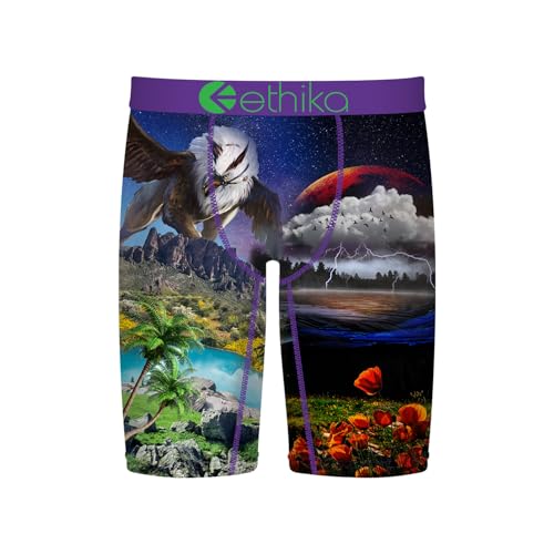 Ethika Boy's Staple Boxer Briefs, Soft 4-Way Stretch, No Ride-Up