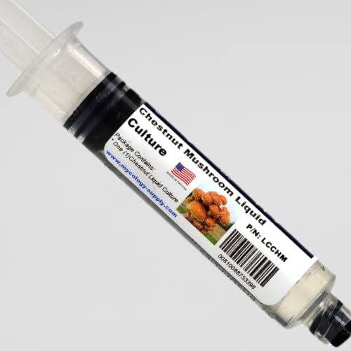 Mycology-Supply.com | Mushroom Liquid Culture (Chestnut Mushroom ) | 10ml sterile Culture Syringe containing Live Mushroom Culture for Starting Mushroom Spawn.