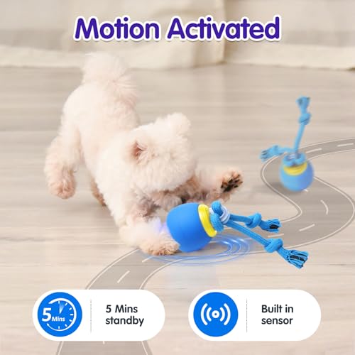 Oxawo Interactive Dog Toys Electric Dog Ball Touch Wake-up with Dogs Chirping Rechargeable Toys Indoor & Outdoor Fun
