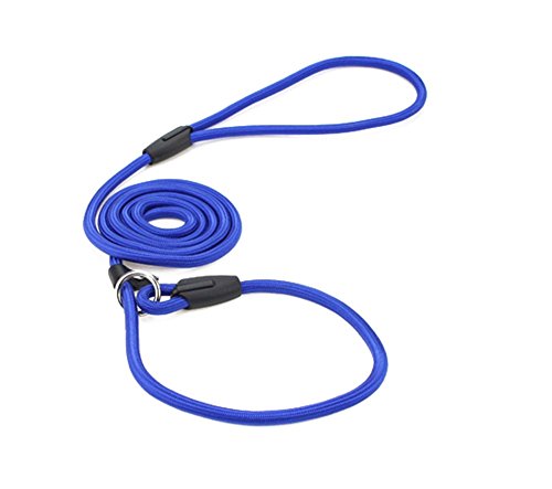 Correa para perros Da.Wa de 1,4 m, correa ajustable de tracción, hecha de nailon